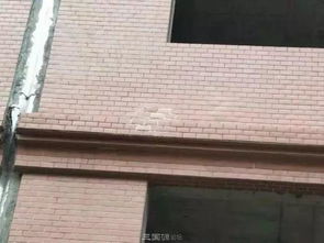 小区外墙砖鼓泡变形，施工方推诿让人忧